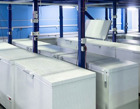 CHEST FREEZER